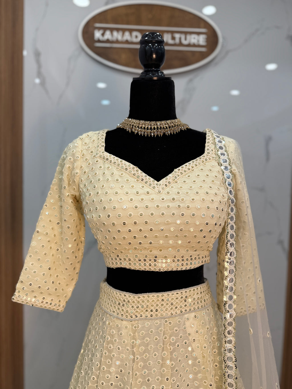 Beautiful lehenga choli