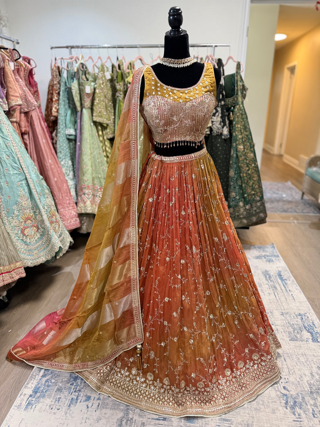Beautiful choli with lehenga