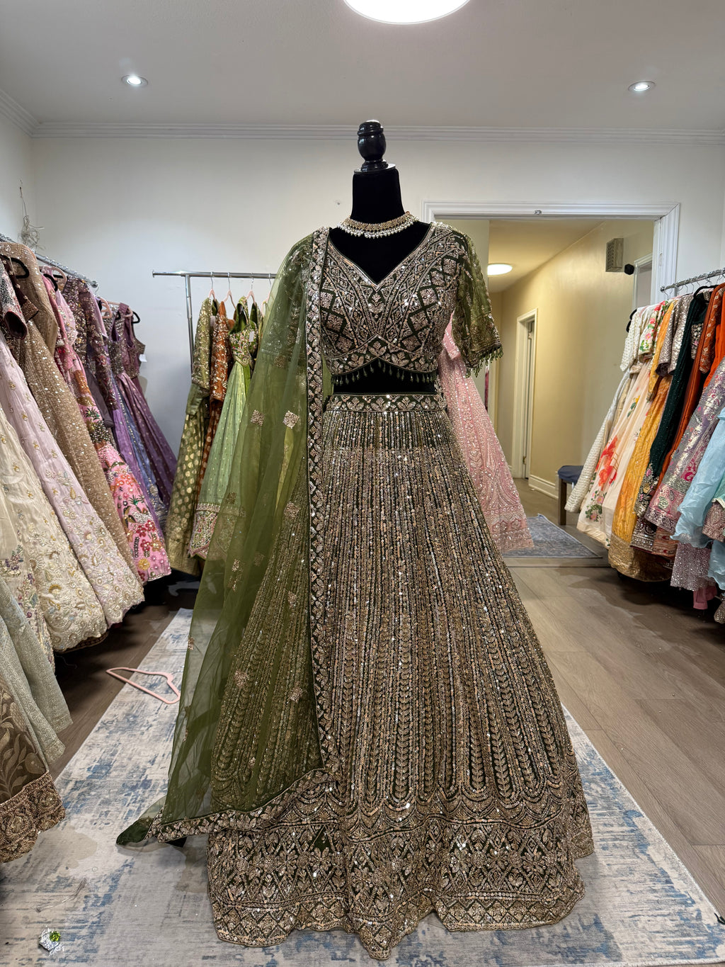 Beautiful lehenga choli