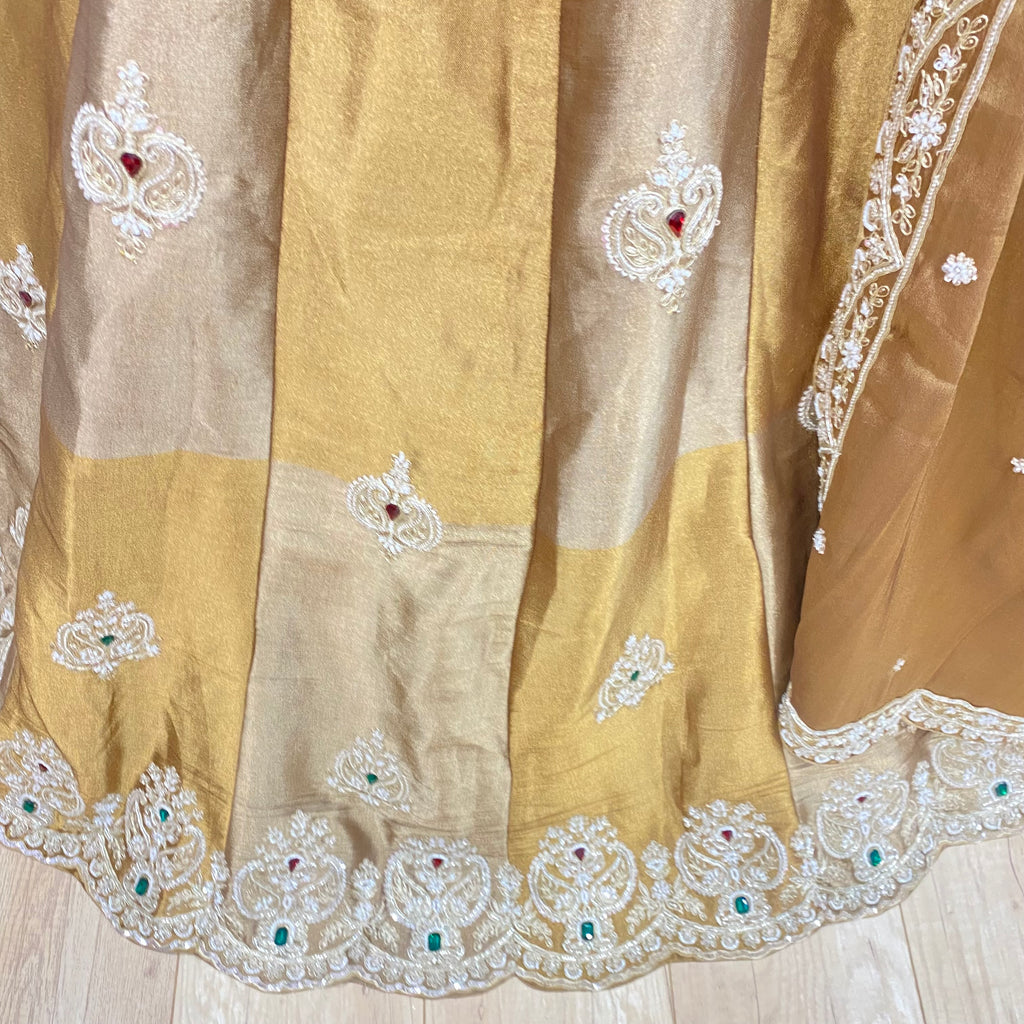 Beautiful designer lehenga choli