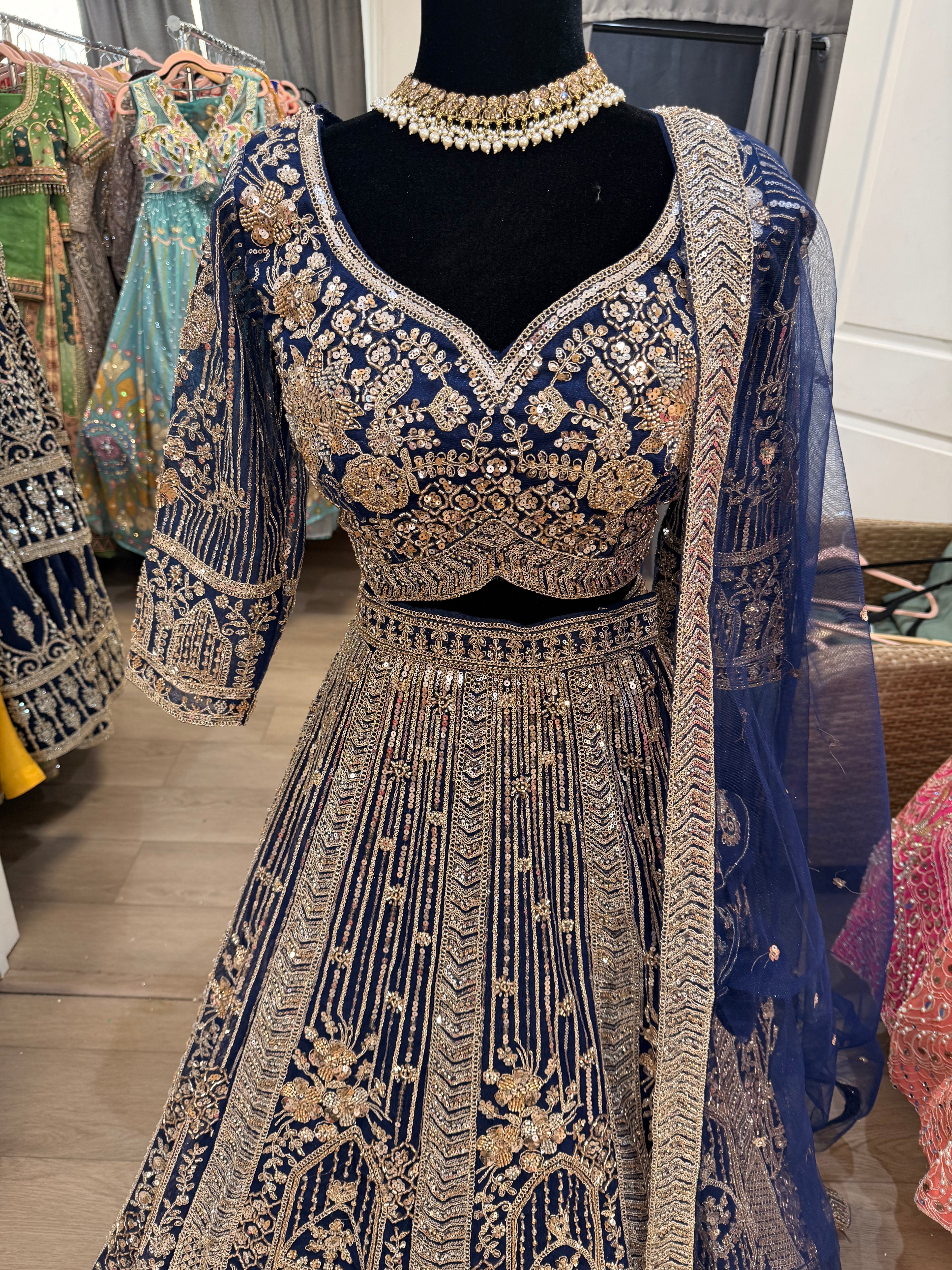 Beautiful choli with lehenga