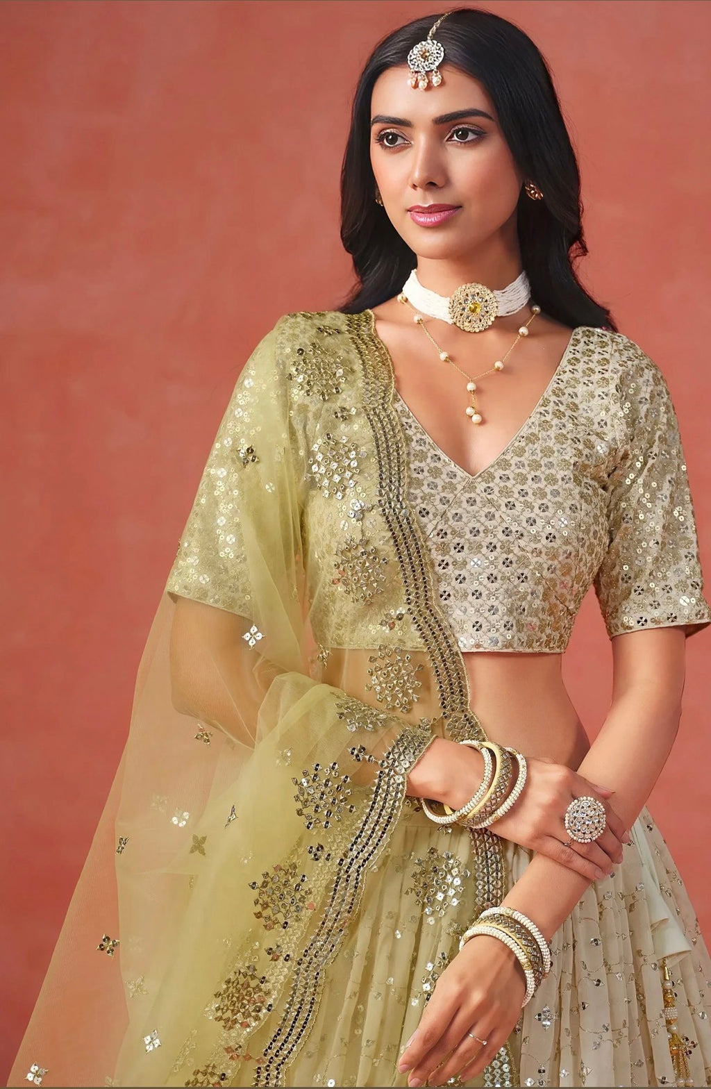 Traditional Embroidered Geogette Lehenga Choli