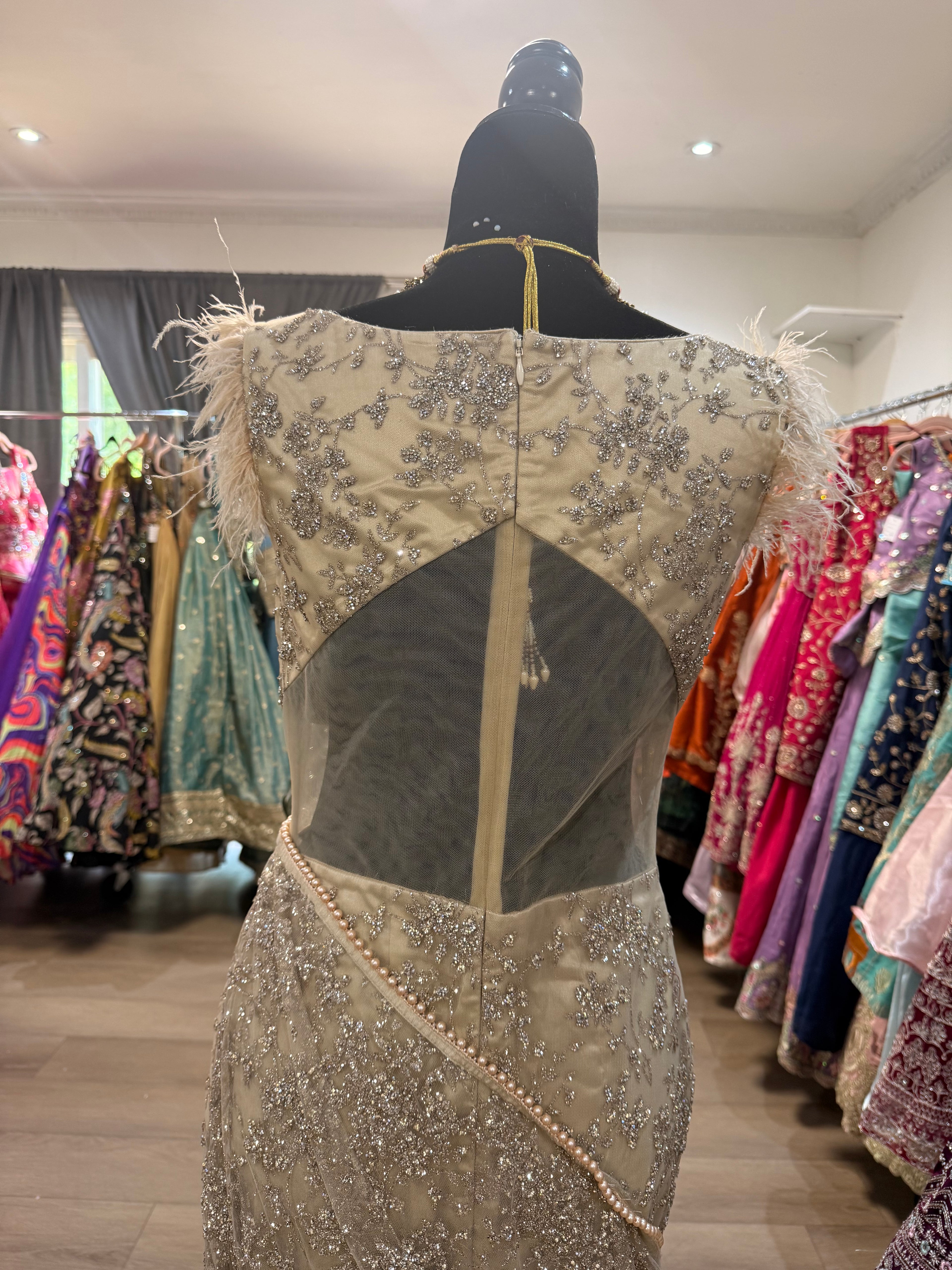 Gown and Pre drape saree