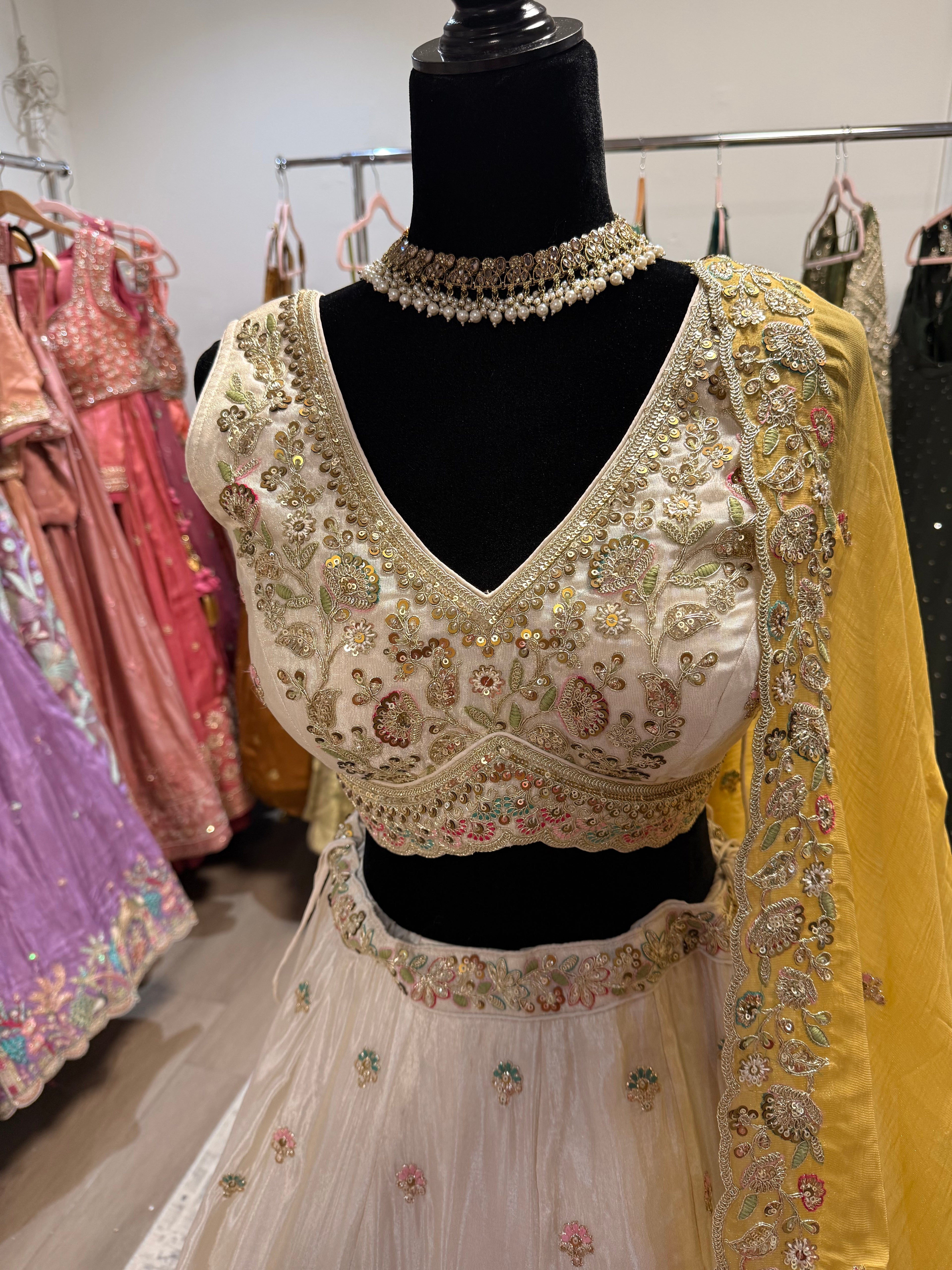 Beautiful choli with lehenga