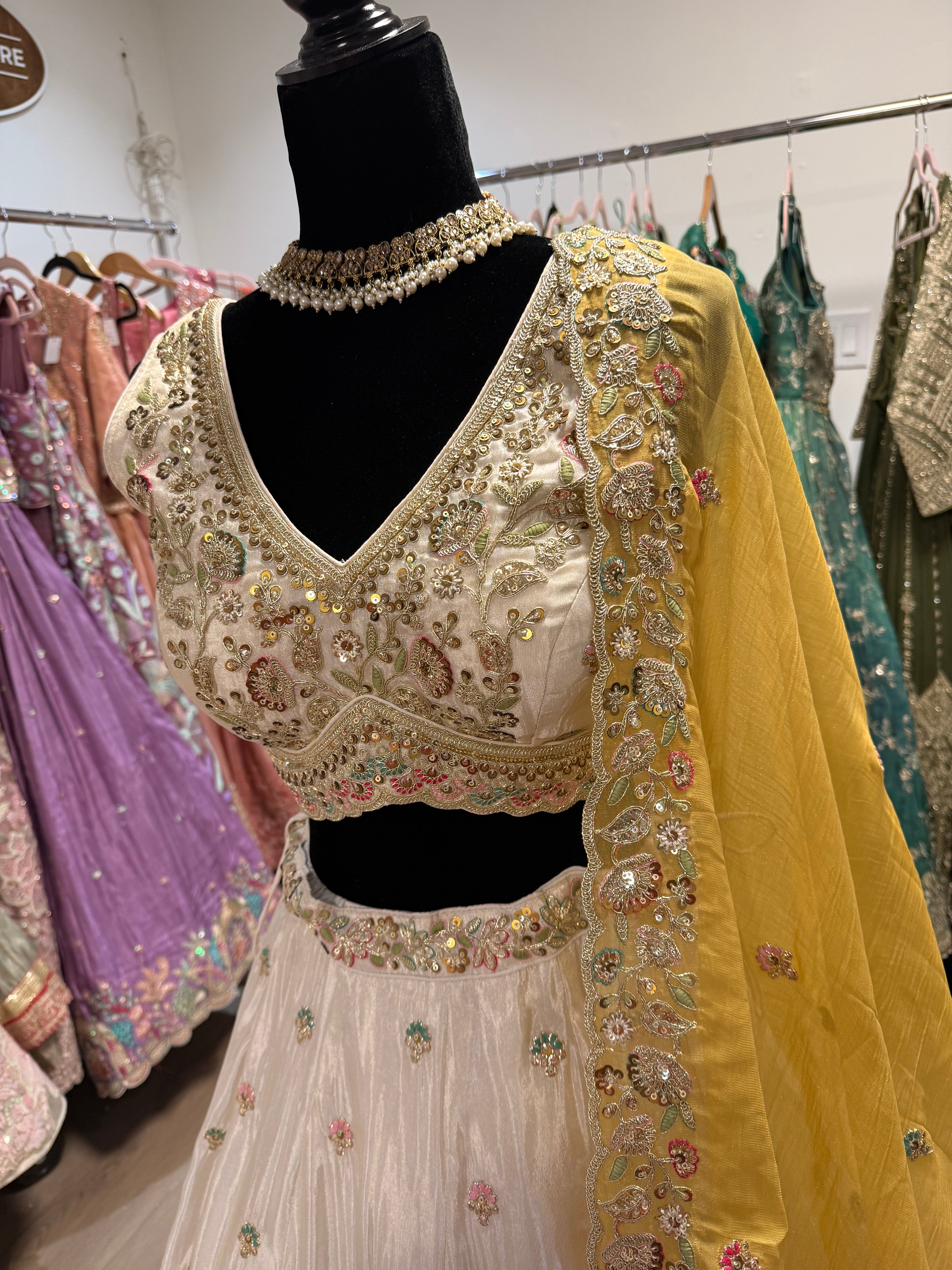 Beautiful choli with lehenga