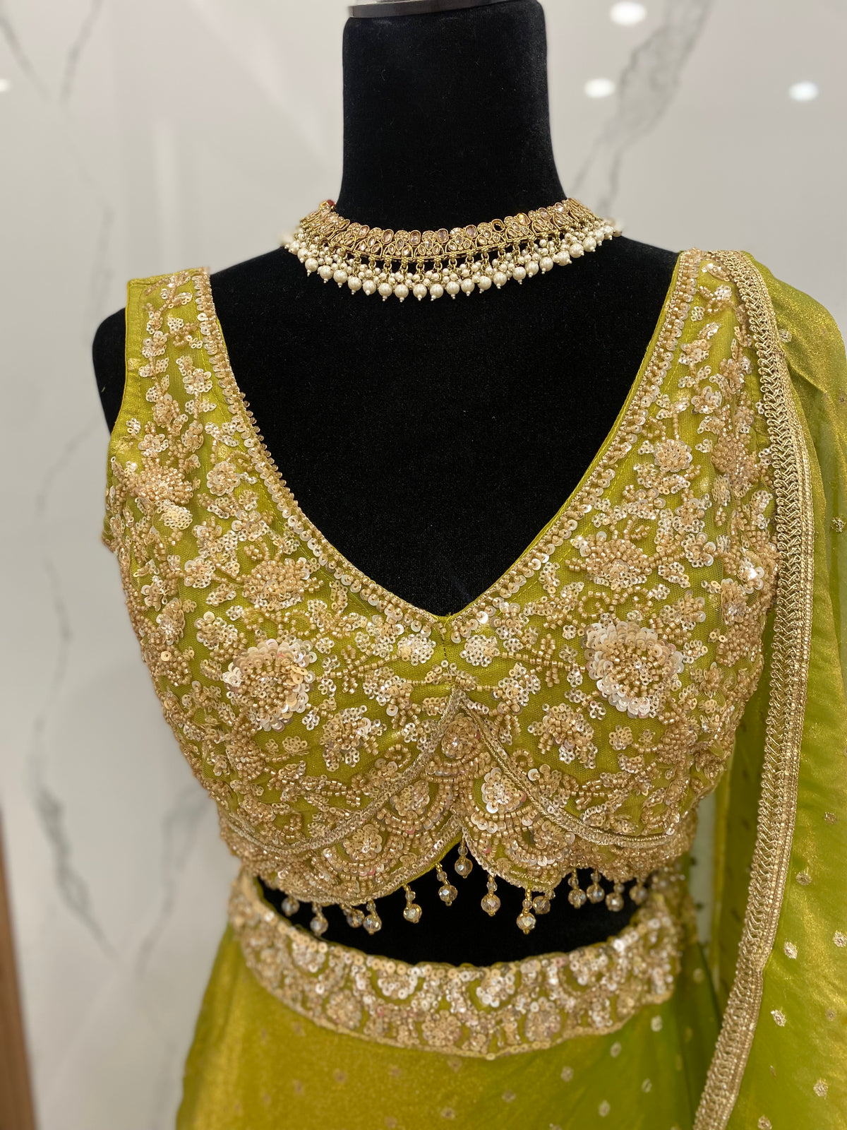 Beautiful designer lehenga choli