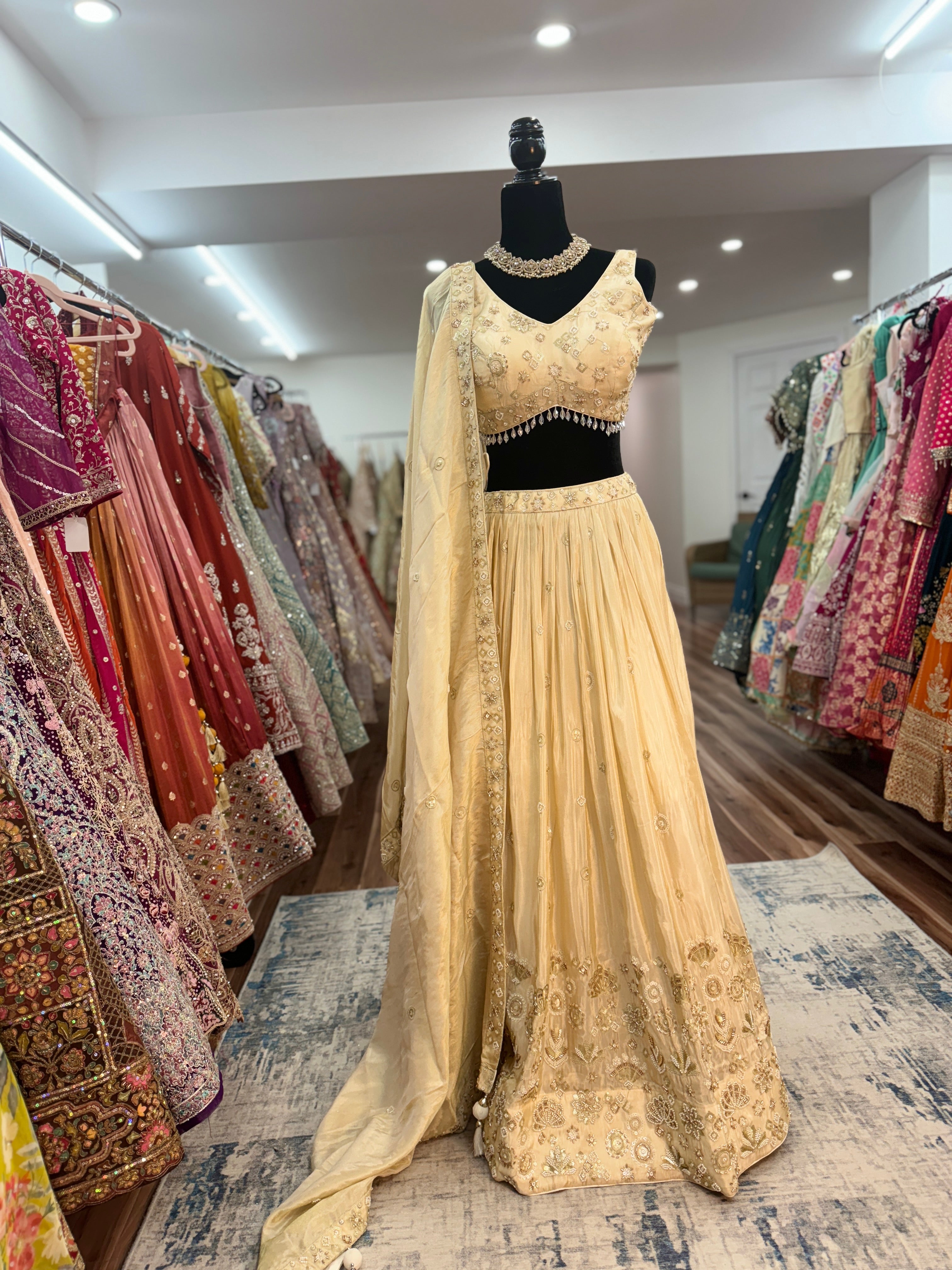 Size 50 Beautiful lehenga choli